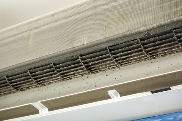 Best HVAC System Cleaning  in North Bellmore, NY